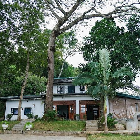 迪加纳 Welikande Yoga Retreats酒店 外观 照片