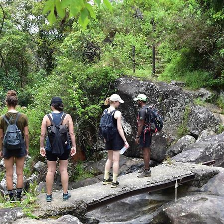 迪加纳 Welikande Yoga Retreats酒店 外观 照片