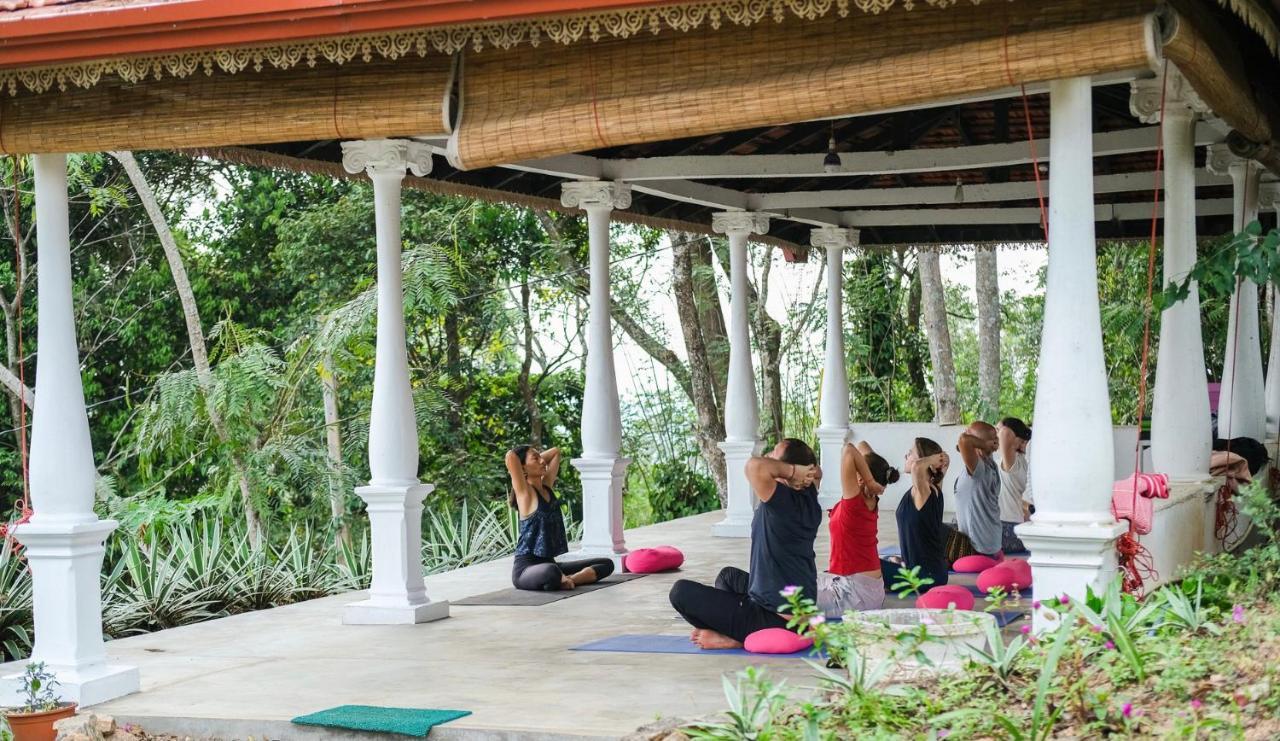 迪加纳 Welikande Yoga Retreats酒店 外观 照片