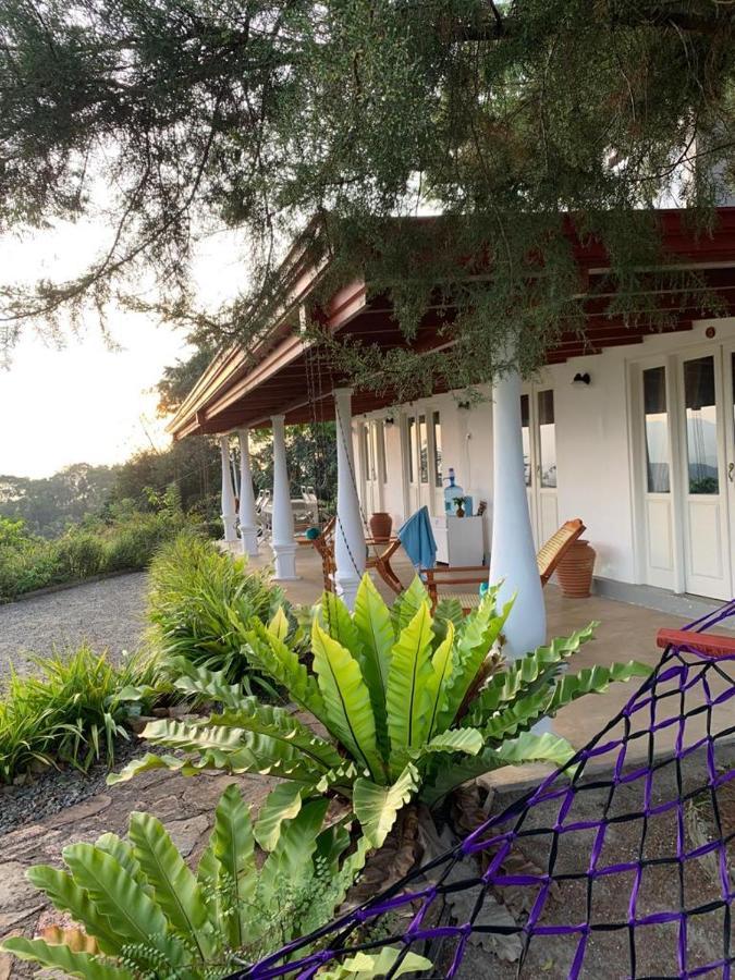 迪加纳 Welikande Yoga Retreats酒店 外观 照片