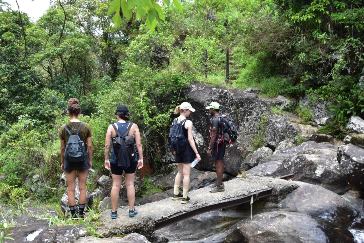 迪加纳 Welikande Yoga Retreats酒店 外观 照片