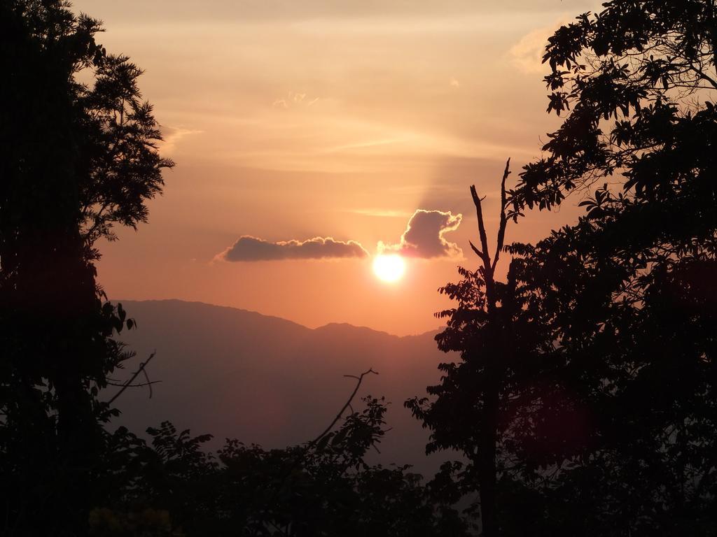 迪加纳 Welikande Yoga Retreats酒店 客房 照片