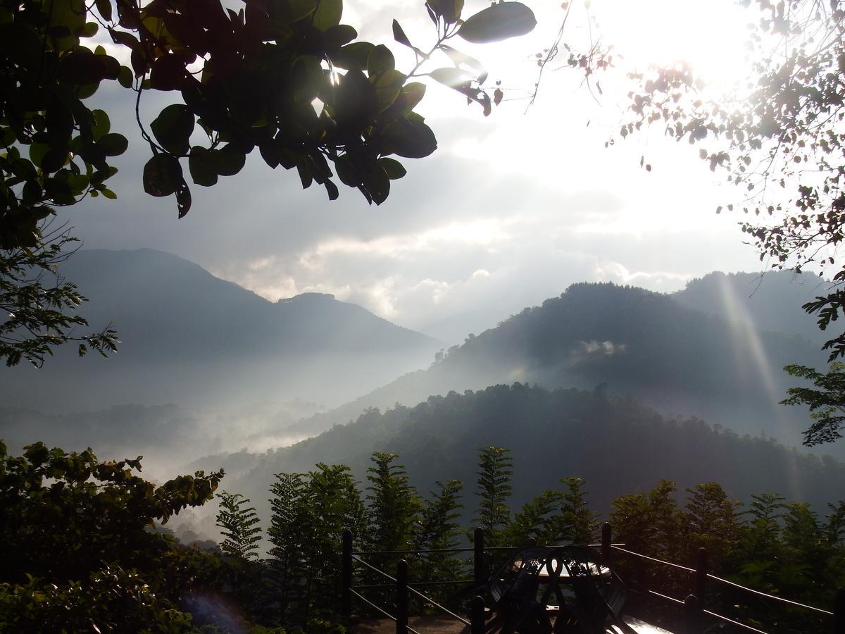 迪加纳 Welikande Yoga Retreats酒店 外观 照片