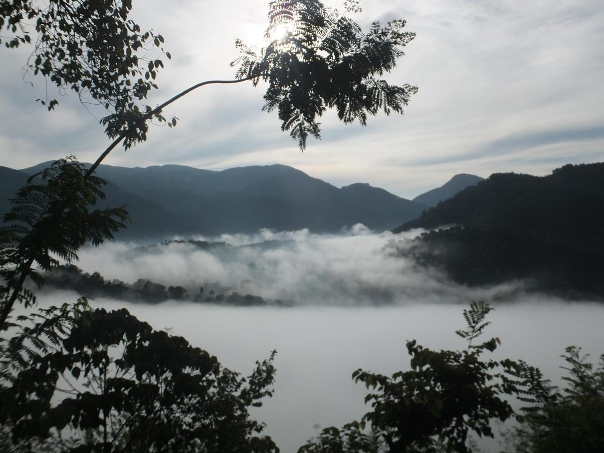 迪加纳 Welikande Yoga Retreats酒店 外观 照片