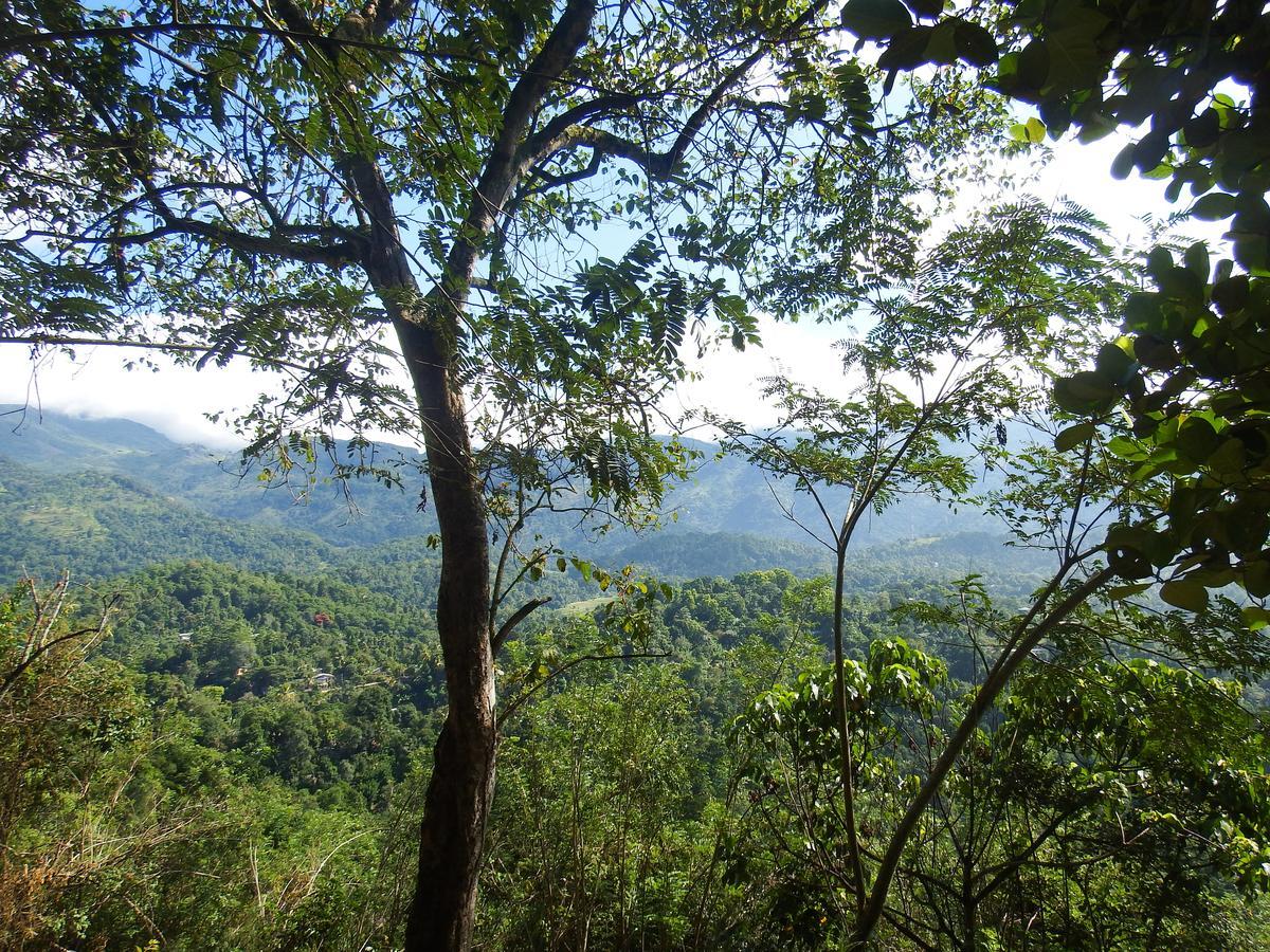 迪加纳 Welikande Yoga Retreats酒店 外观 照片