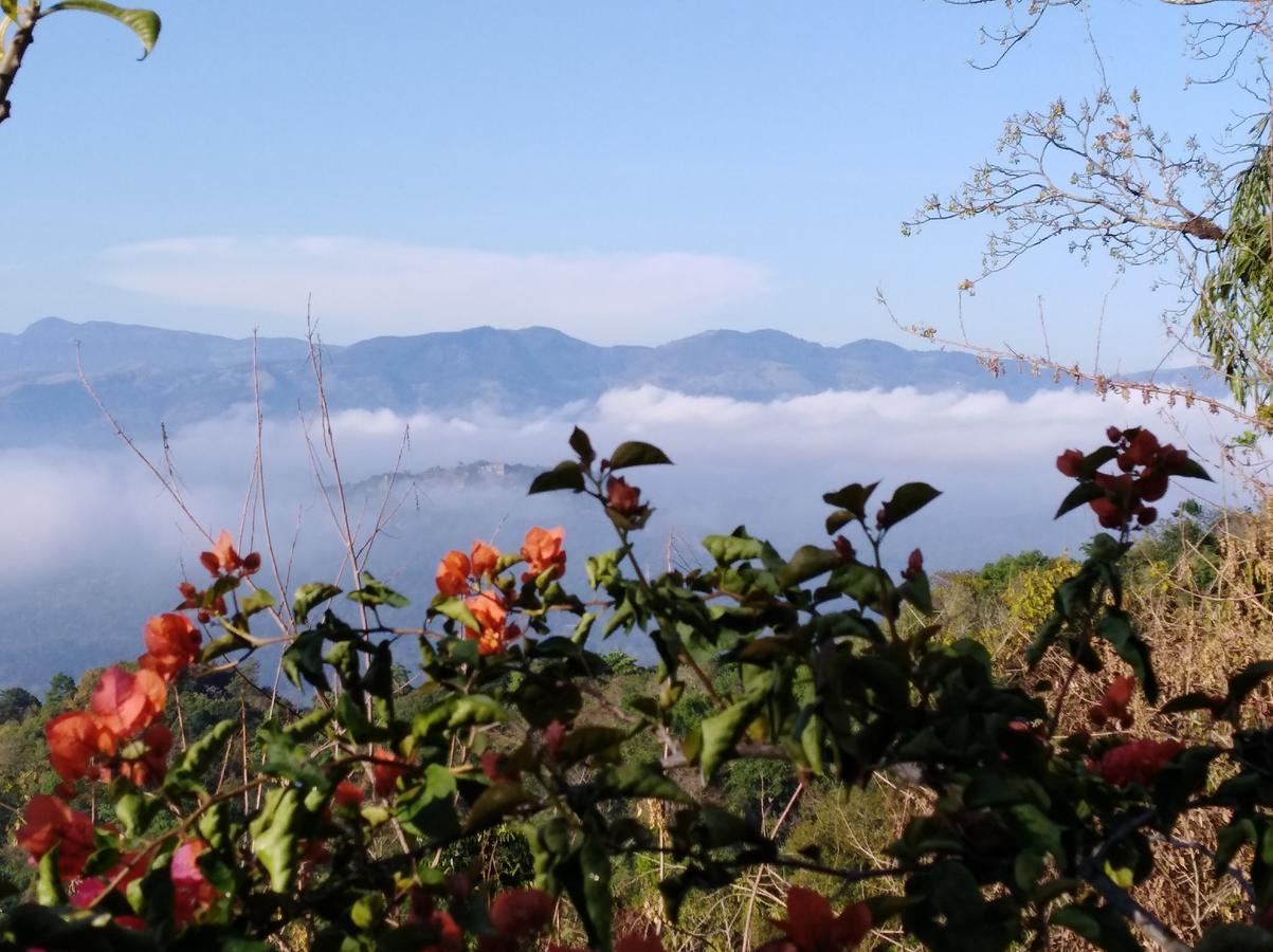 迪加纳 Welikande Yoga Retreats酒店 外观 照片